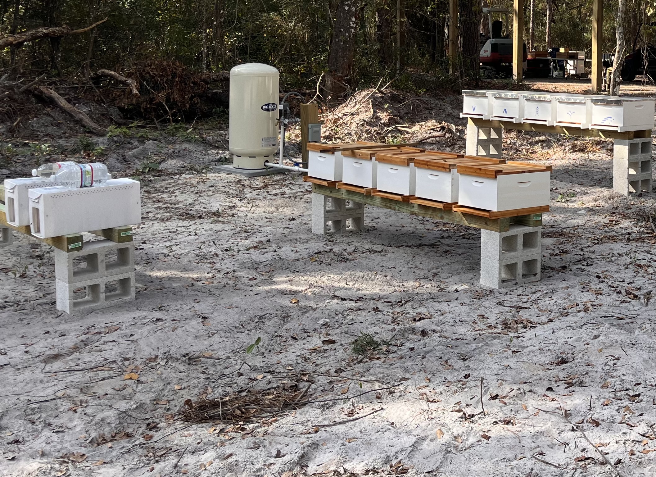 Curly Dog Apiary hives in Brooksville, Florida