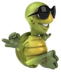 Turtlegrass LLC Brooksville, Florida
